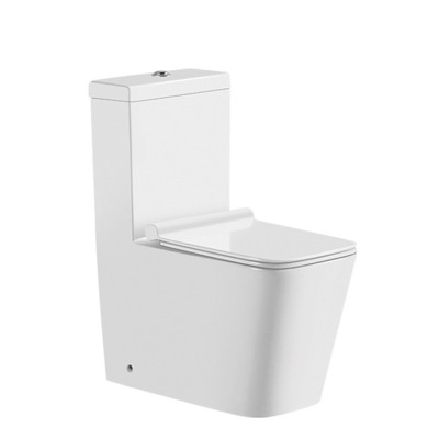 Watermark and EuropeanToilet Five Star Hotel Bathroom WC One Piece Ceramic Washdown Toilet